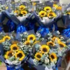 Bó Hoa Sự Kiện Hướng Dương Cep Blue Bó Hoa Sự Kiện Hướng Dương Cep Blue