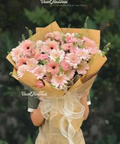 Bó hoa đồng tiền Bright Horizons