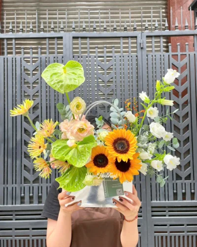 Gio Hoa Huong Duong All The Best