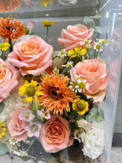 Hộp Hoa Mica Shimmer Tinh Tế Hộp Hoa Mica Shimmer