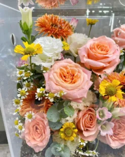 Hộp Hoa Mica Shimmer Tinh Tế Hop Hoa Mica Shimmer 3