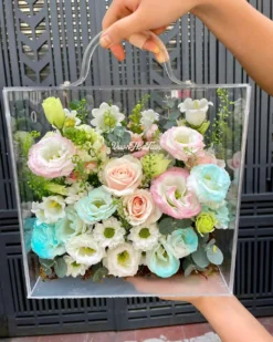 Hộp Hoa Tươi Mica Blue OSho