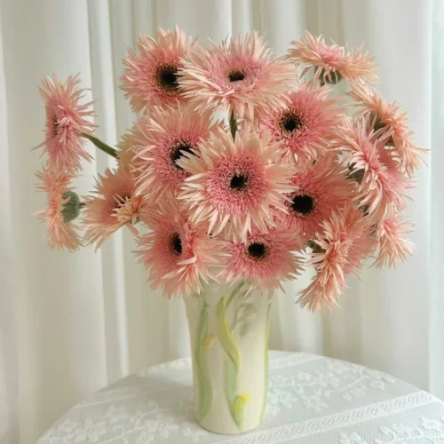 Danh sách Các Loại Hoa Đồng Tiền Phổ Biến Được Cập Nhật Mới Nhất Spider Gerbera