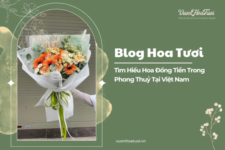 Tìm Hiểu Hoa Đồng Tiền Trong Phong Thuỷ Tại Việt Nam Tìm Hiểu Hoa Đồng Tiền Trong Phong Thuỷ Tại Việt Nam