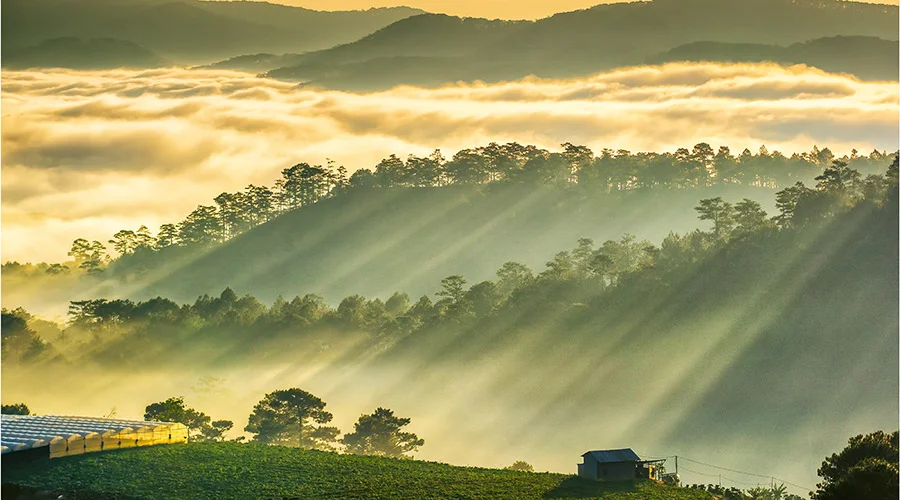 da lat khi hau vietnam