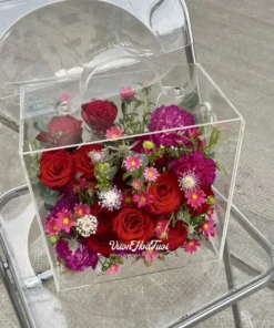 Ấm áp với hoa cúc nhật, hoa hồng đỏ Ecuador trong hộp hoa mica