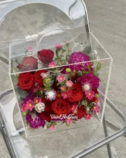 Ấm áp với hoa cúc nhật, hoa hồng đỏ Ecuador trong hộp hoa mica