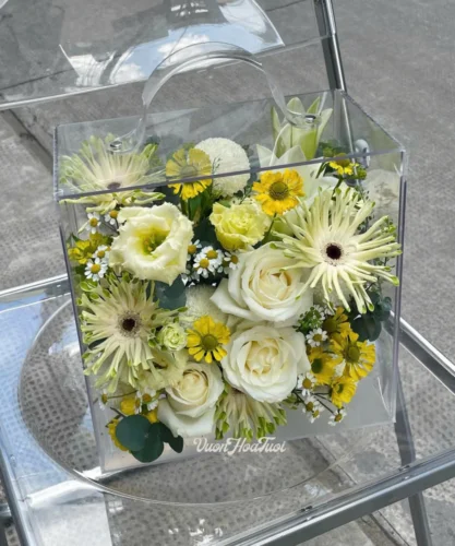 Vali Hoa Tươi Mica Dã Quỳ Yêu Thương Vali Hoa Tươi Mica Dã Quỳ Yêu Thương