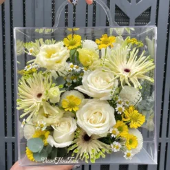 Vali Hoa Tươi Mica Dã Quỳ Yêu Thương