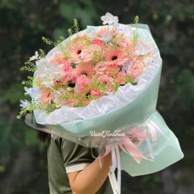 Rose Pink Tweedia Vuonhoatuoi