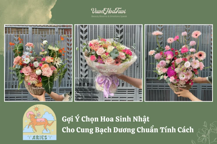 Gợi Ý Chọn Hoa Sinh Nhật Cho Cung Bạch Dương Chuẩn Tính Cách chọn hoa sinh nhật cho cung bạc dương
