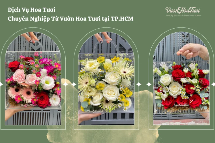 Shop Hoa Tươi Phường Tân Định Tphcm Hoa Xinh Giá Rẻ shop hoa tan dinh tphcm