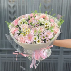 Flower Rose of Hope VuonHoaTuoi