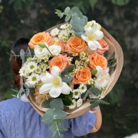 Tulip Shimmer Xo Bó Hoa Tulip Xinh