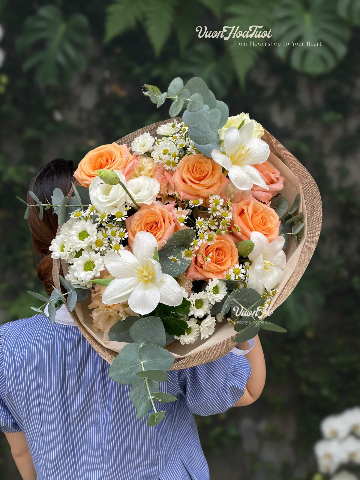 Tulip Shimmer Xo Bó Hoa Tulip Xinh Tulip Shimmer Xo Bó Hoa Tulip Xinh