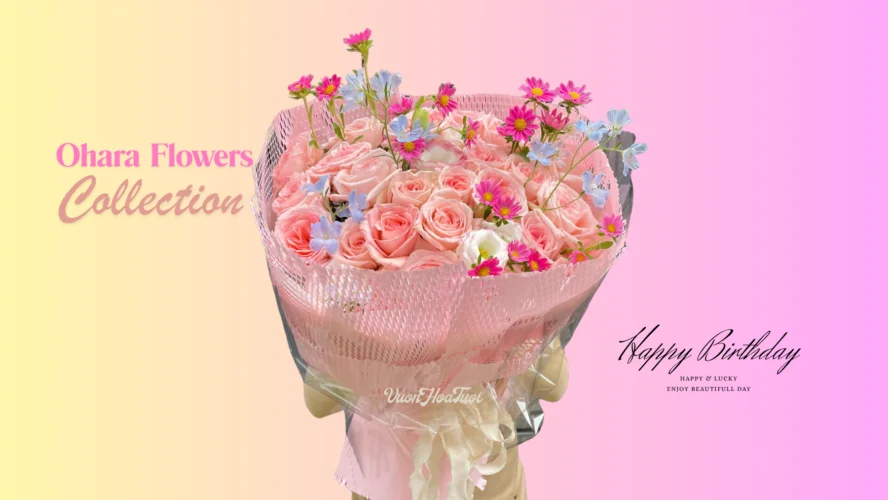 Banner Hoa Hồng Ohara