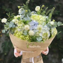 Bó Hoa Cẩm Tú Cầu Hydrangea Pink Lace