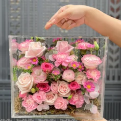Hoa 20 Tháng 10 <br> FlowerBox Mica Pink Eva
