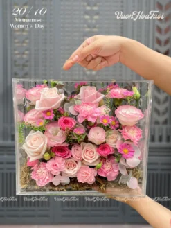 Hoa 20 Tháng 10 <br> FlowerBox Mica Pink Eva