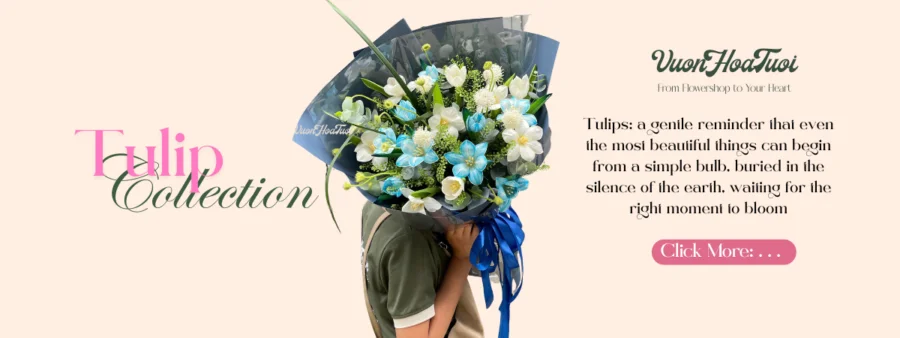 Tulip Banner
