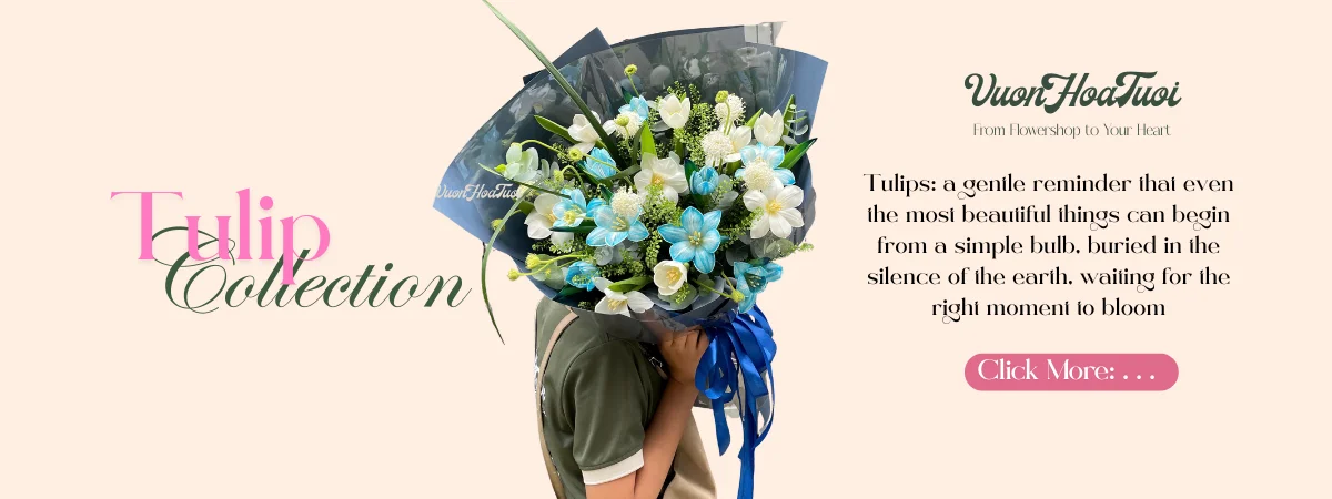Bó Hoa Tulip