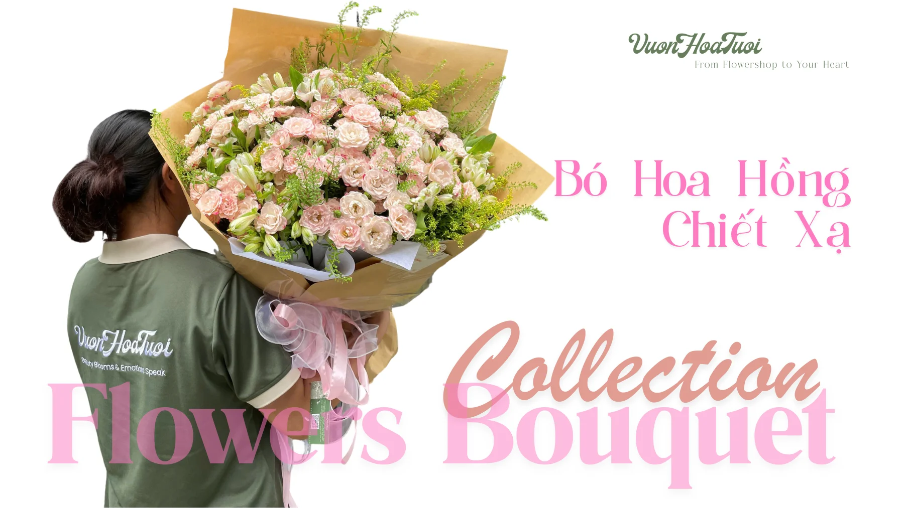 Hoa Hồng Chiết Xạ