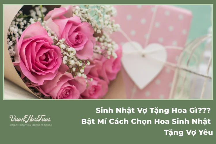 Sinh Nhật Vợ Tặng Hoa Gì Bật Mí Cách Chọn Hoa Sinh Nhật Tặng Vợ Yêu