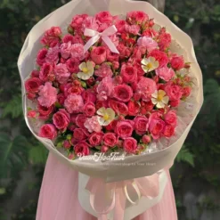 Sophia Cúc Gỗ Mix Xinh