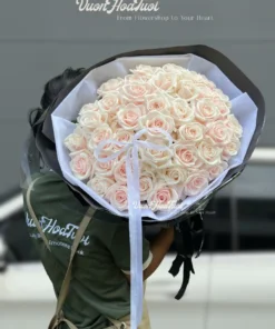 Pink Rose Tinh Khôi