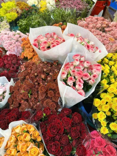 Khám Phá Ý Nghĩa Hoa Hồng Tỉ Muội Phù Hợp Tặng Ai Trong Dịp Nào. hong ti muoi