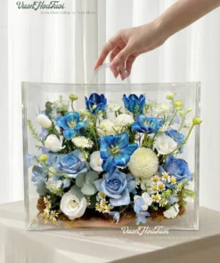 Hộp Hoa Mica Tulip Darkblue White