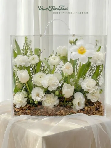 Hộp Hoa Mica Tulip White Beauty