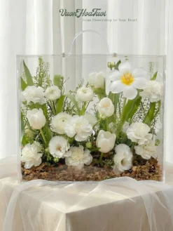 Hộp Hoa Mica Tulip White Beauty