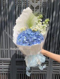 Bó Hoa Sinh Nhật Tú Cầu Moomi