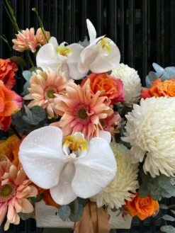 Gio Hoa Harmony Sweety White 3 png