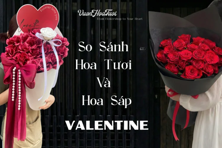 So Sánh Hoa Tươi Và Hoa Sáp