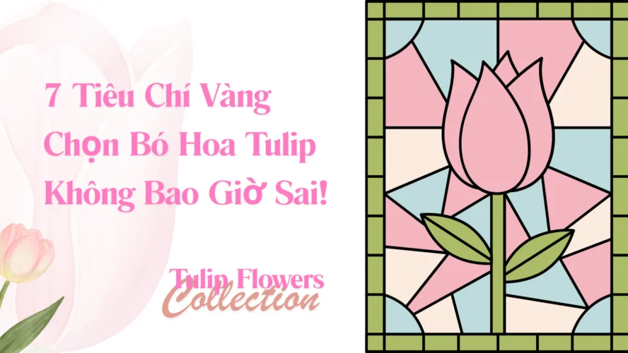 Cách Chọn Bó Hoa Tulip