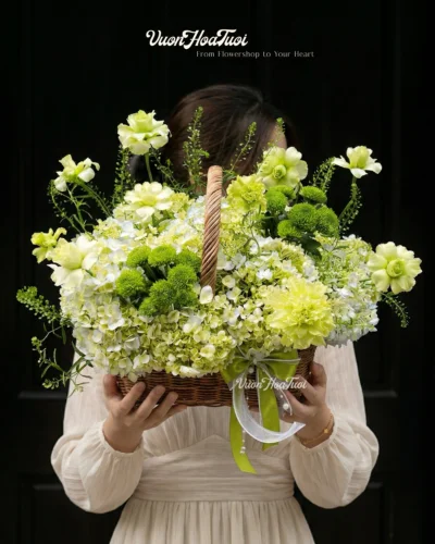 Tú Cầu Xinh Tươi Say đắm giỏ hoa cẩm tú cầu xinh tươi tone xanh bơ mix cúc xanh độc đáo. Quà tặng sinh nhật hoàn hảo, giao tận nơi HCM từ Vườn Hoa Tươi. Khám phá ngay!