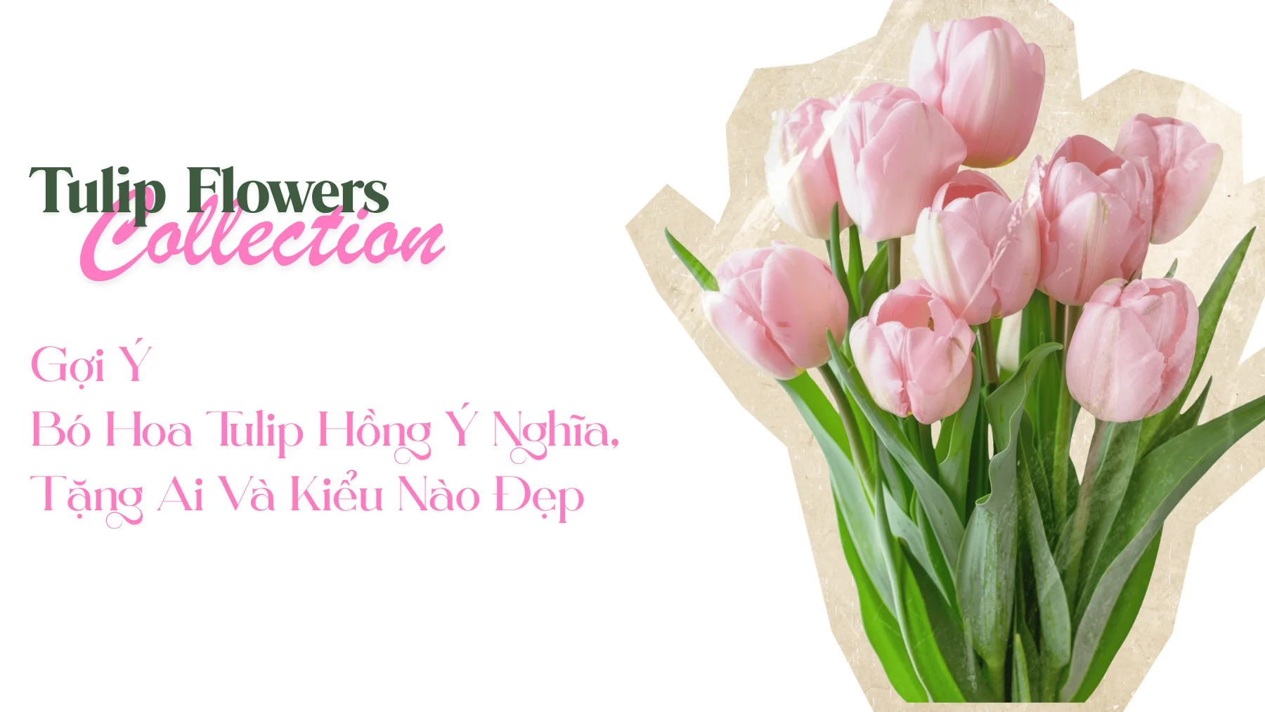 Gợi Ý Bó Hoa Tulip Hồng Ý Nghĩa, Tặng Ai Và Kiểu Nào Đẹp 2026