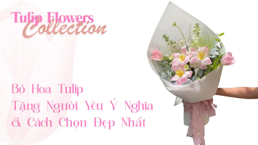 Bó Hoa Tulip Tặng Người Yêu Ý Nghĩa & Cách Chọn Đẹp Nhất