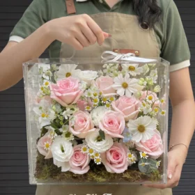 Hộp Hoa Mica Ohara Mix Daisy White