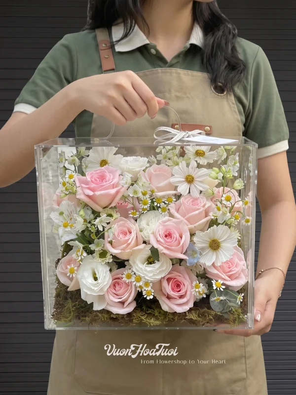 Hộp Hoa Mica Ohara Mix Daisy White