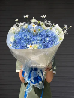 Bó Hoa Cẩm Tú Cầu Hydrangea Daisy White