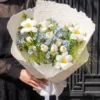 Bó Hoa Tươi Tulip Lam Tinh