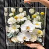 Hộp Hoa Mica Tulip Tinh Khiết