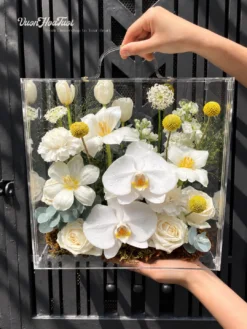 Hộp Hoa Mica Tulip Tinh Khiết