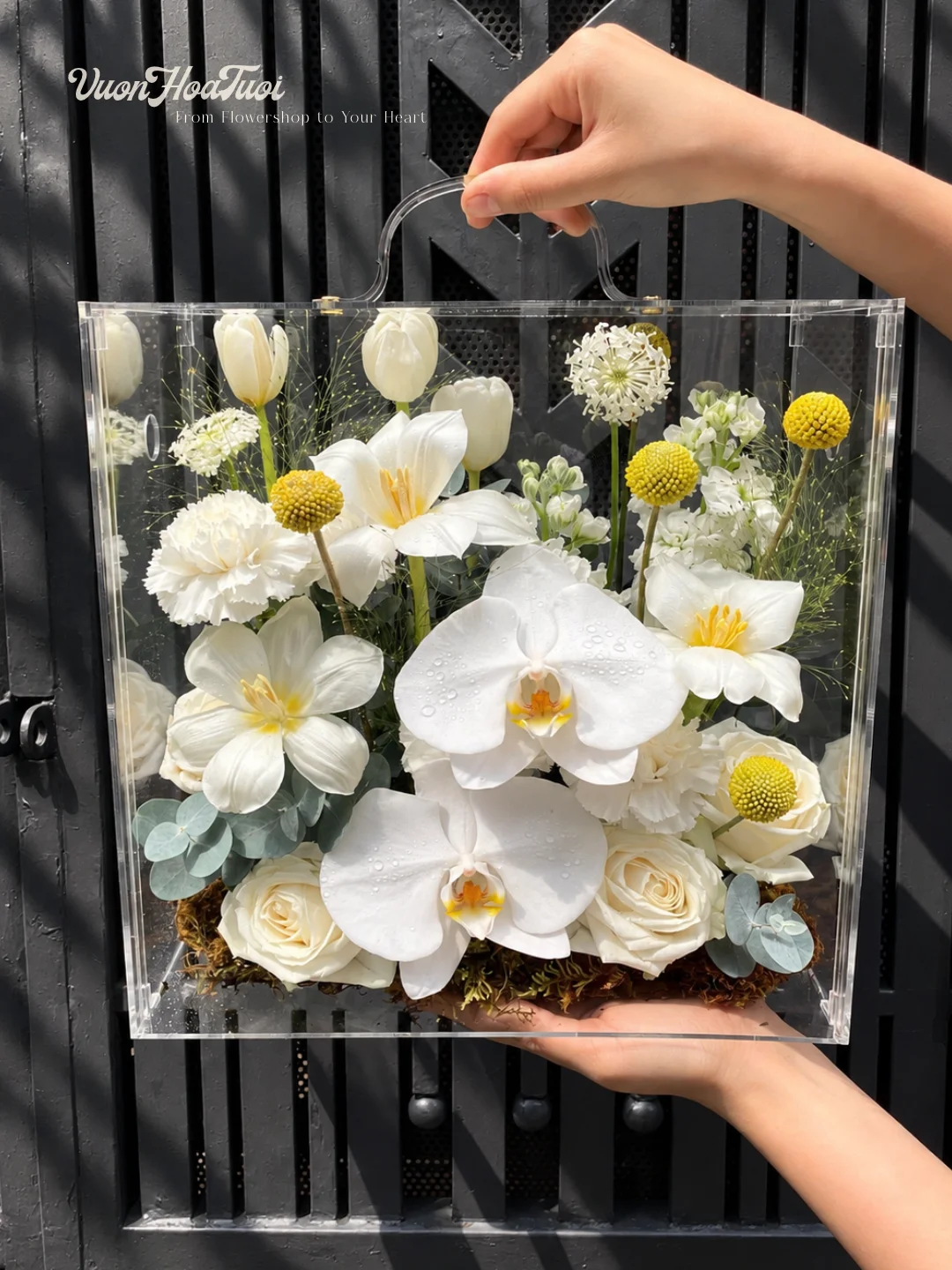 Hộp Hoa Mica Tulip Tinh Khiết